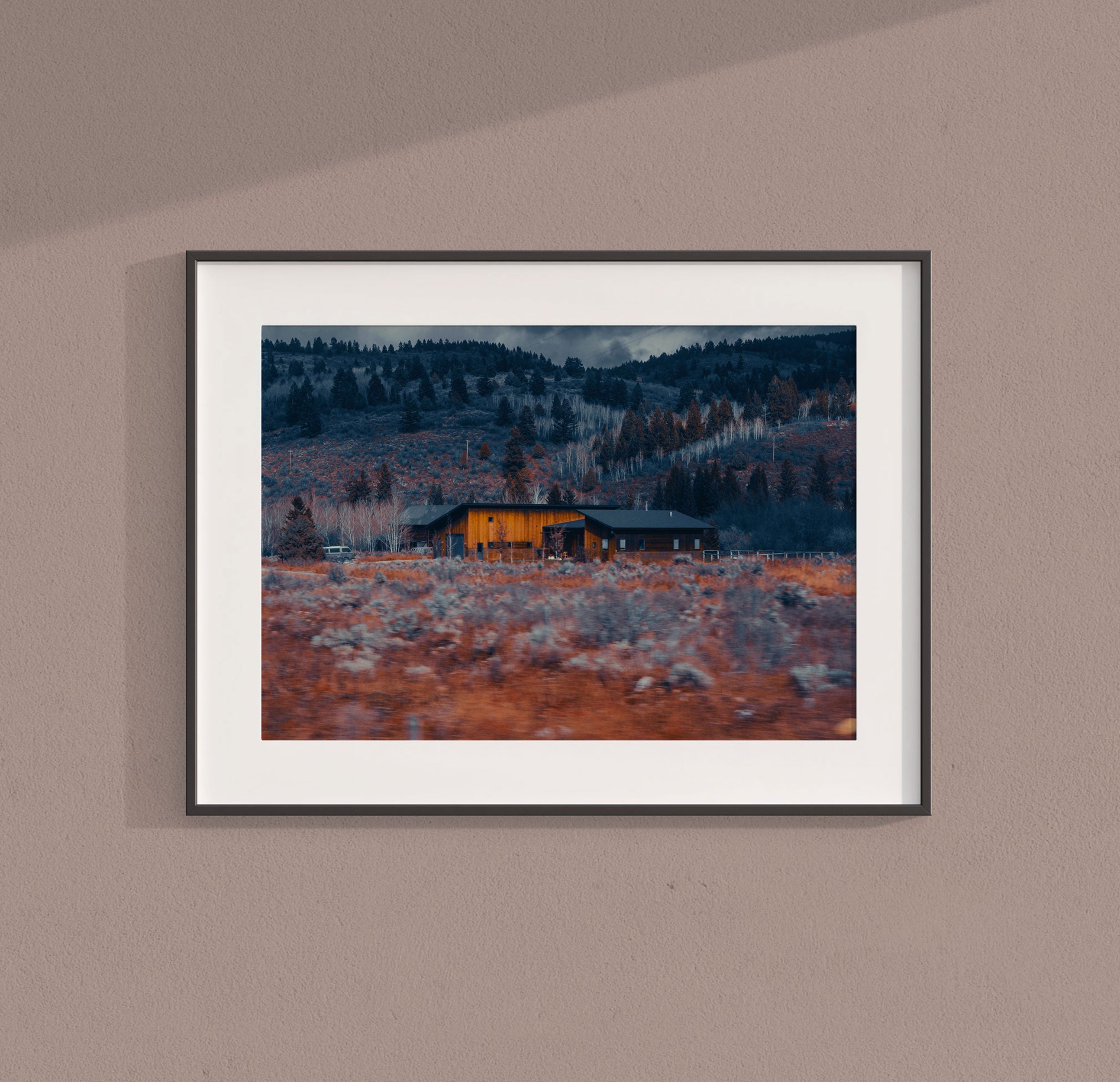 Prints